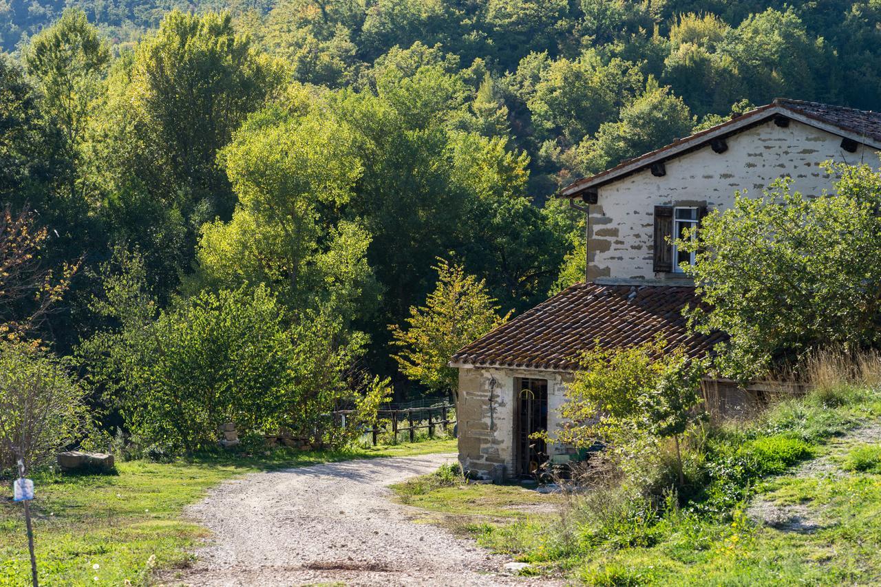 Agriturismo L'Oca Blu Hotel Gubbio Exterior foto